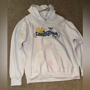 Vintage Disney Parks Splash Mountain Hoodie